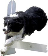 Krmivá vhodné pre výstavné a pracovné plemená